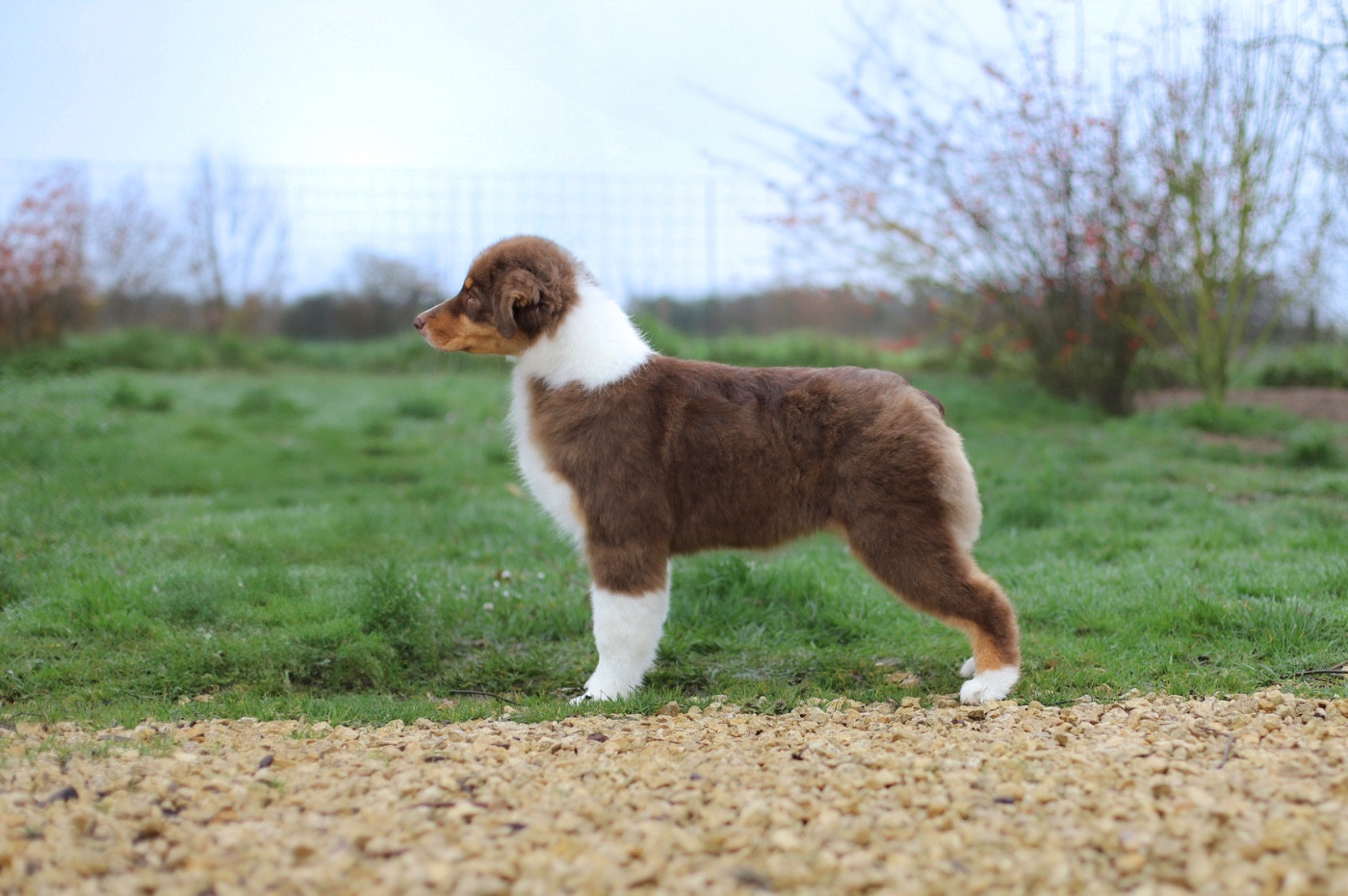 Au jour qui se rêve Of Truest Desire